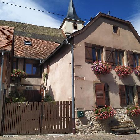 Appartments Rue Des Châteaux Ottrott Exterior foto