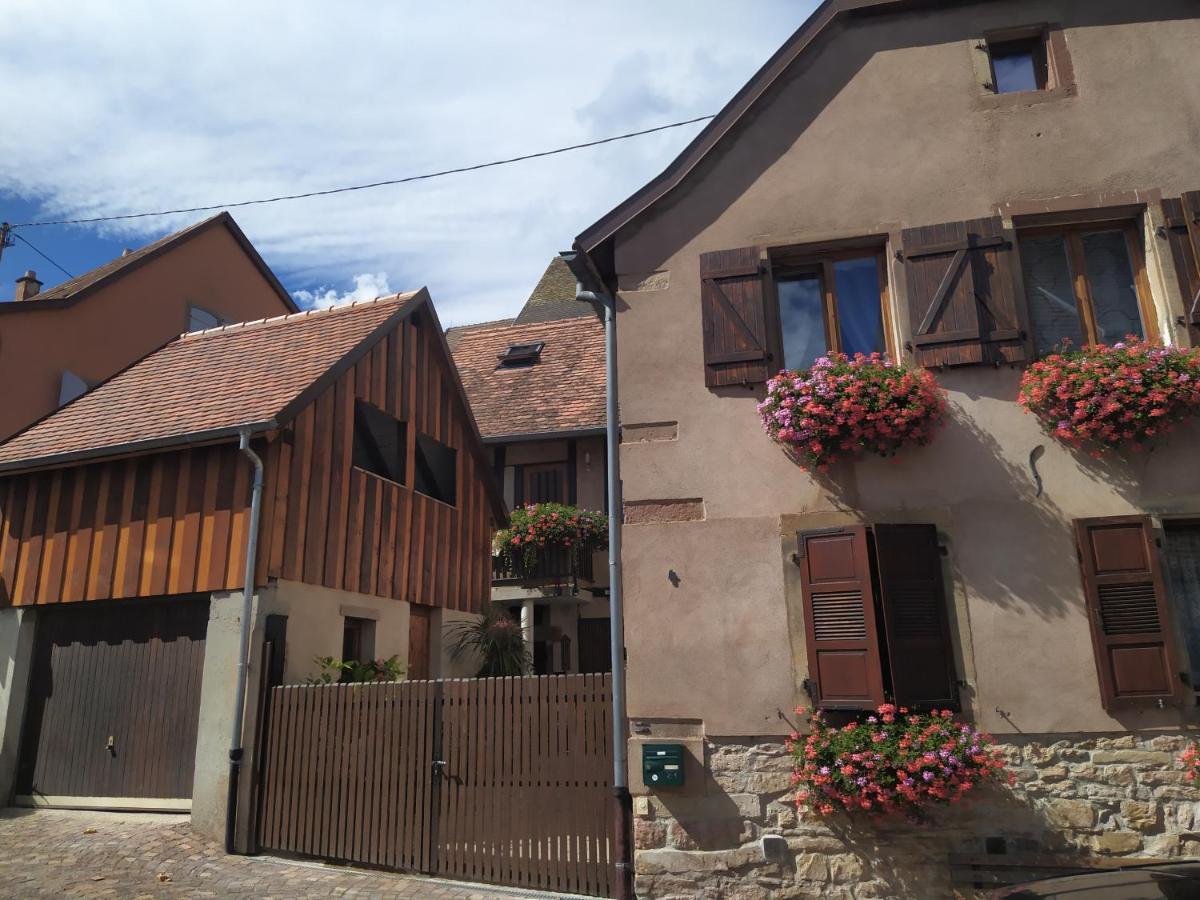 Appartments Rue Des Châteaux Ottrott Exterior foto