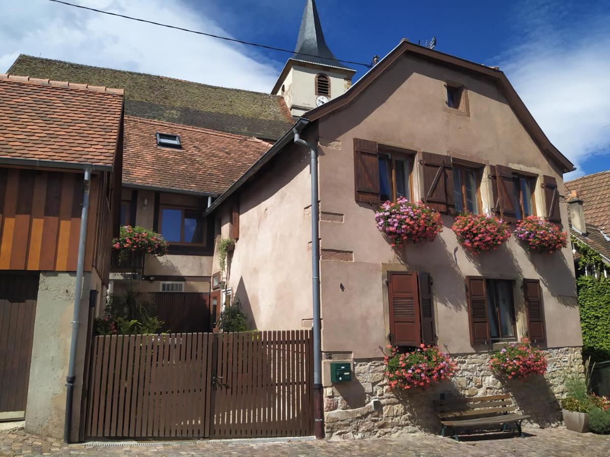 Appartments Rue Des Châteaux Ottrott Exterior foto